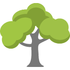 Eden Prairie Tree Removal