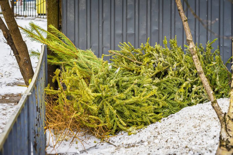 Tree Removal in Snowy Conditions